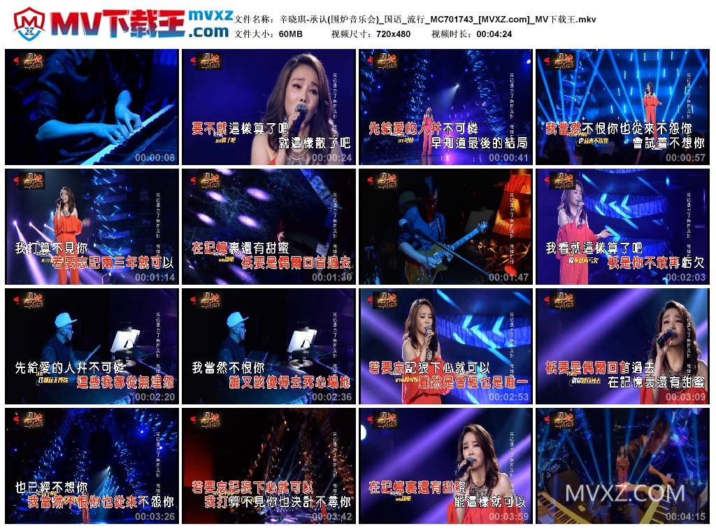 辛晓琪-承认(围炉音乐会)_国语_流行_MC701743